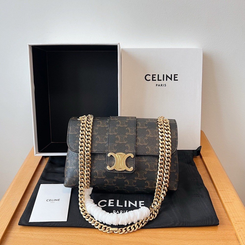 Celine Teen Victoire Bag in Triomphe Canvas