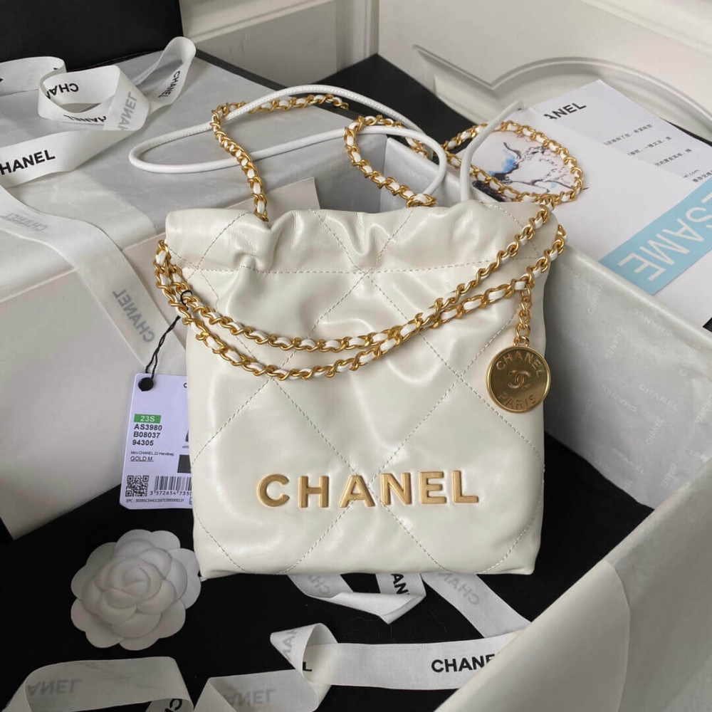 Chanel 22 Mini Bag in Shiny Calfskin AS3980 LDBS16003