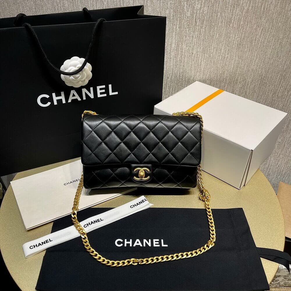 Chanel Lambskin Flap Bag 25 cm AS3609 LDBS16039