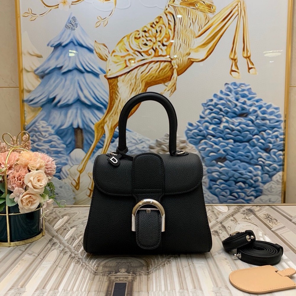 Delvaux Brillant Mini Bag in Black Rodeo Calf Leather LDBS244283