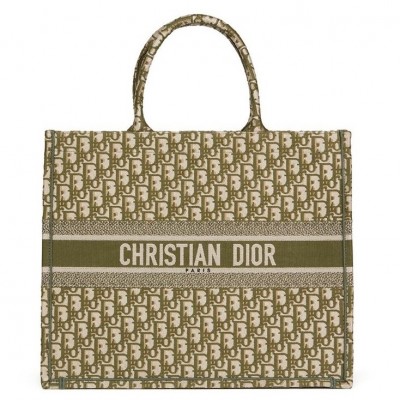 Dior Book Tote Bag In Green Oblique Canvas LDBS240109