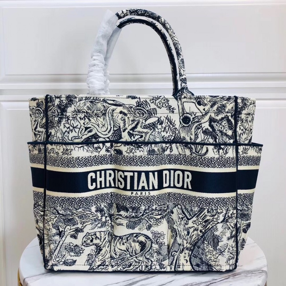 Dior Catherine Tote Bag In Blue Toile de Jouy Embroidery LDBS240164