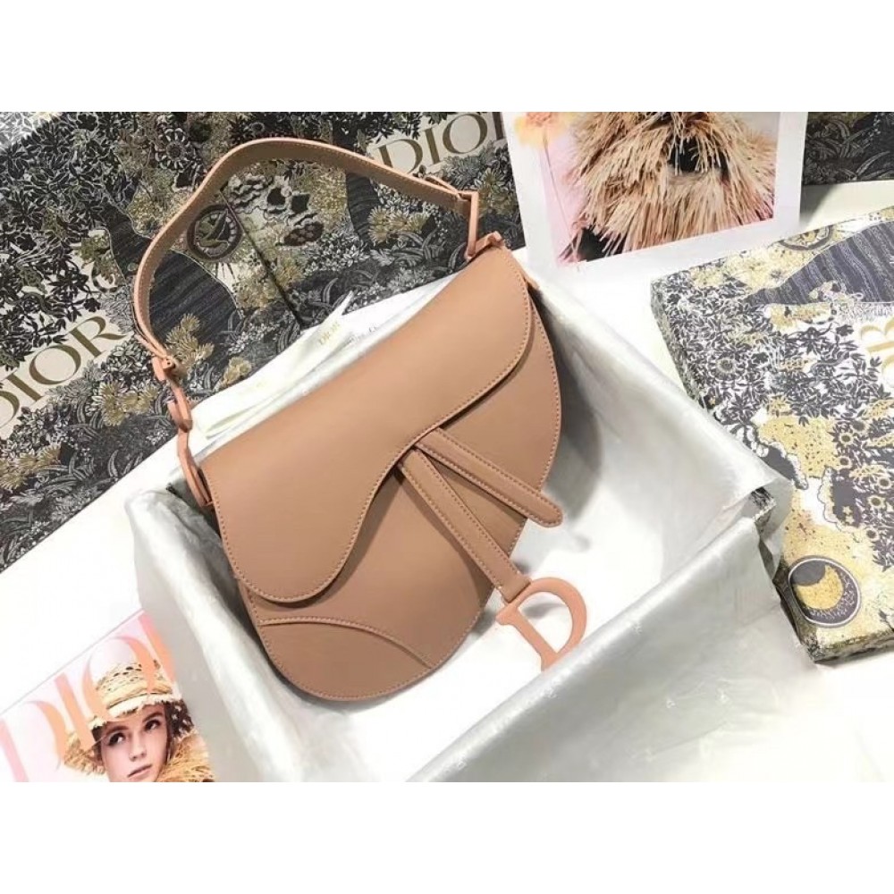 Dior Saddle Bag In Blush Ultramatte Calfskin LDBS240764