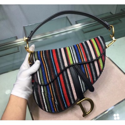 Dior Saddle Canvas Bag Embroidered With Multi-coloured Stripes LDBS240817