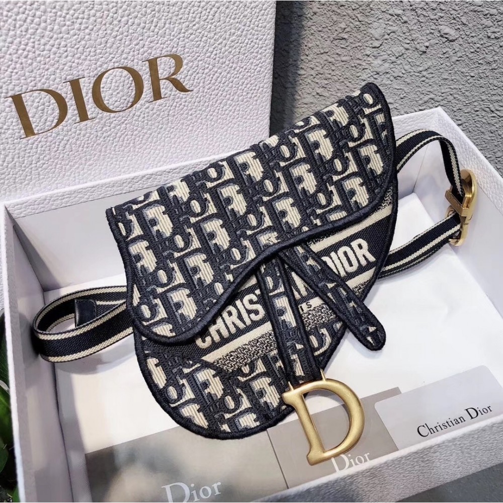 Dior Saddle Pouch Belt Bag In Blue Oblique Canvas LDBS240825