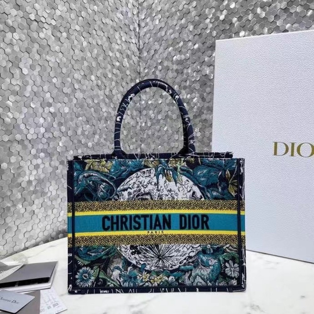 Dior Small Book Tote In Blue Dior Constellation Embroidery LDBS240893