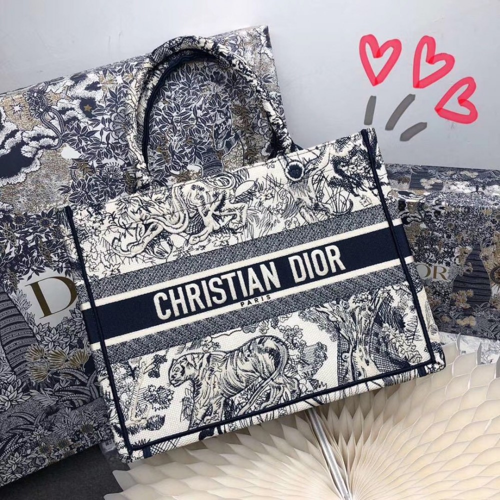 Dior Small Book Tote In Blue Toile De Jouy Canvas LDBS240895