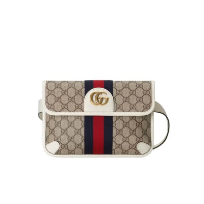 Gucci Ophidia Belt Bag 674081 LDBS16173