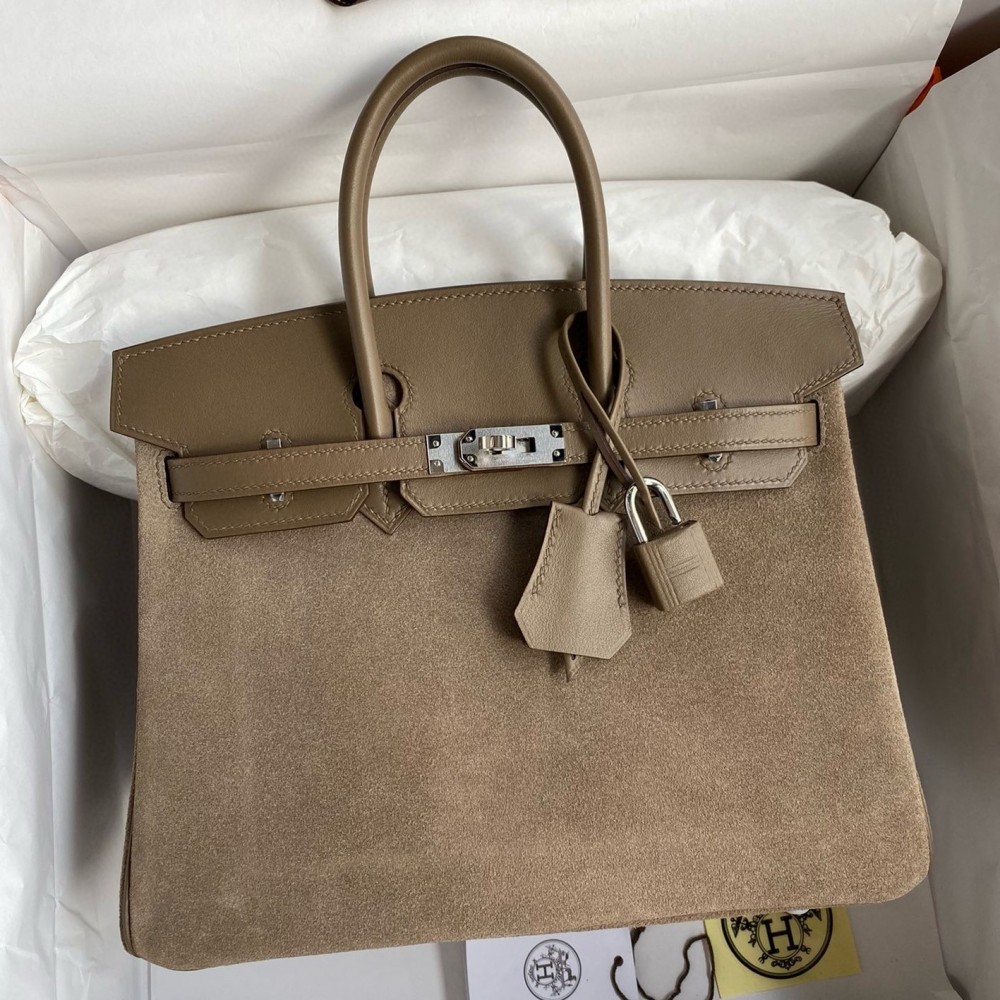 Hermes Birkin 25 Grizzly Bag in Taupe Veau Doblis and Swift Leather LDBS241543