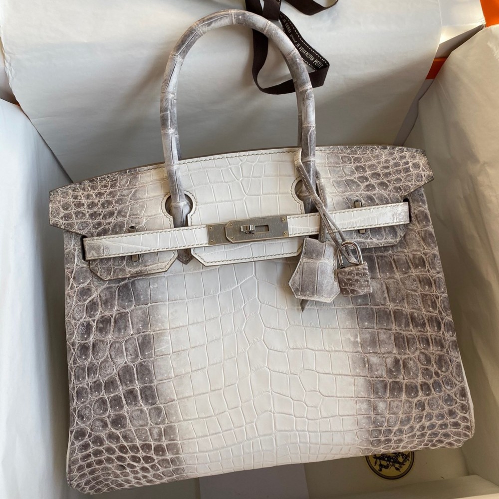 Hermes Birkin 25 Retourne Bag In Himalaya Niloticus Crocodile Skin LDBS241552