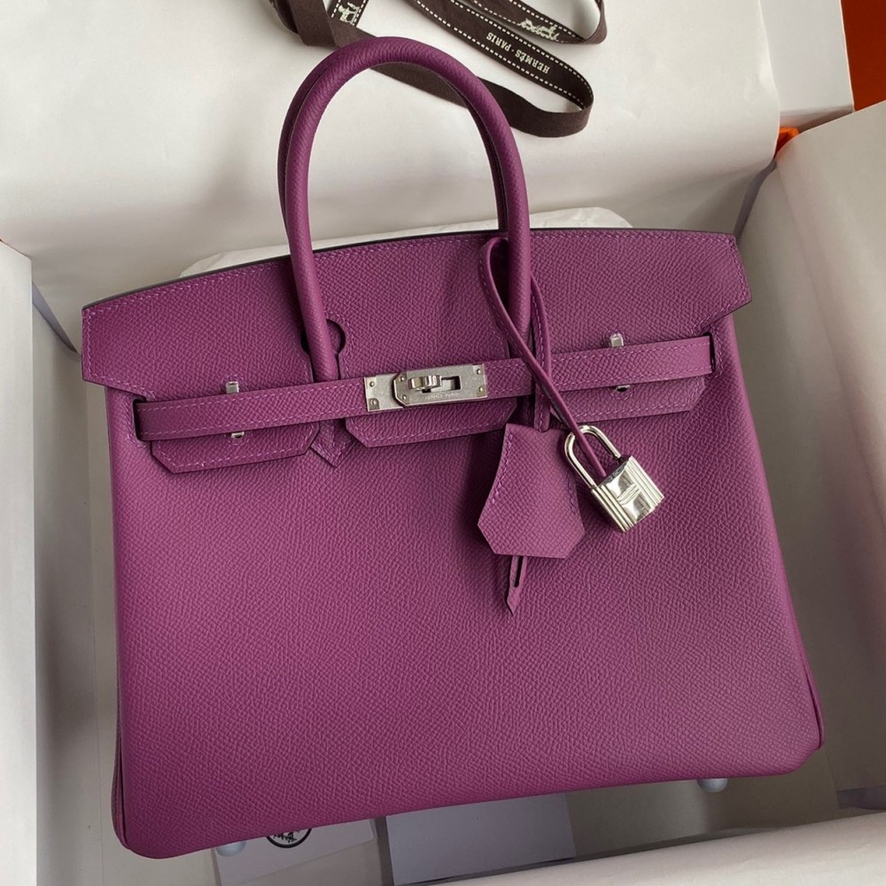 Hermes Birkin 25 Retourne Handmade Bag In Anemone Epsom Calfskin LDBS241553