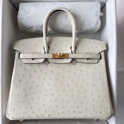 Hermes Birkin 25 Retourne Handmade Bag In Beton Ostrich Leather LDBS241556