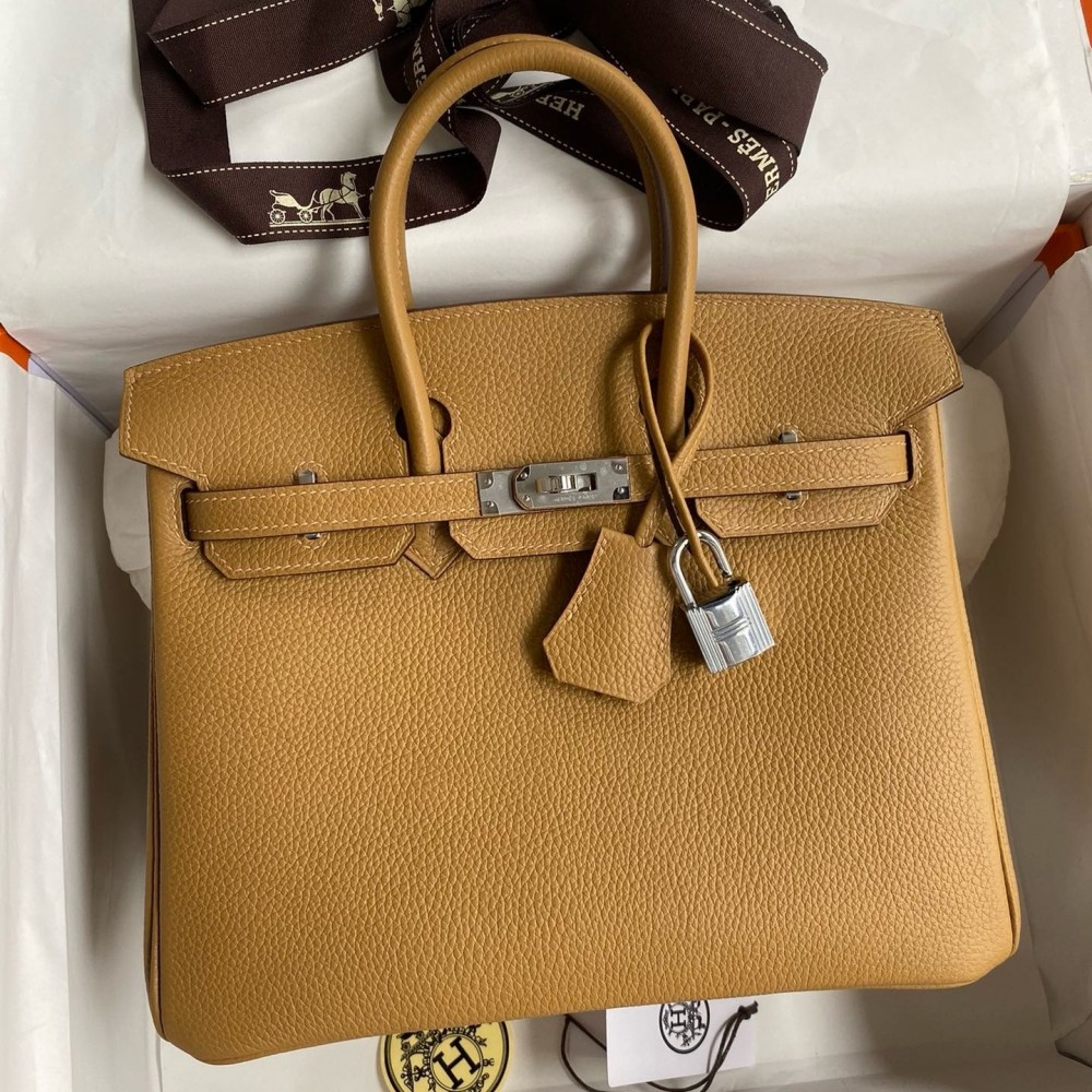 Hermes Birkin 25 Retourne Handmade Bag In Biscuit Clemence Leather LDBS241557