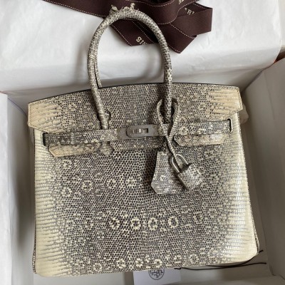 Hermes Birkin 25 Retourne Handmade Bag In Ombre Lizard Leather LDBS241581