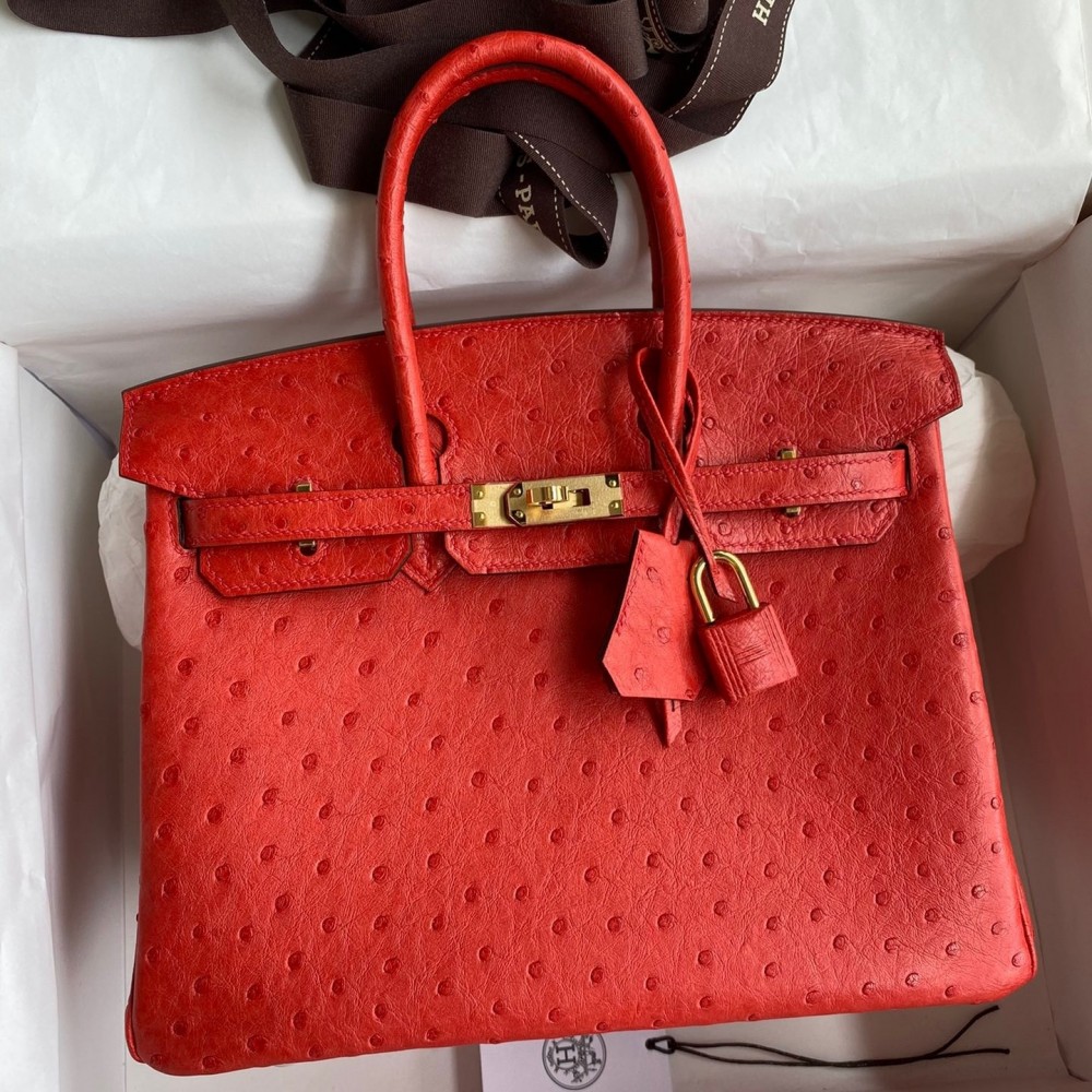 Hermes Birkin 25 Retourne Handmade Bag In Red Ostrich Leather LDBS241588