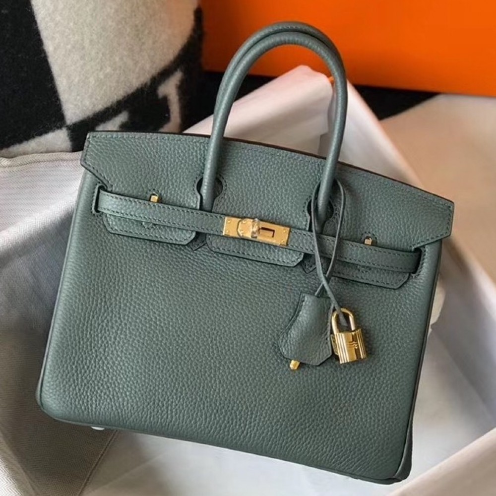 Hermes Birkin 25cm Bag In Vert Amande Clemence Leather LDBS241540