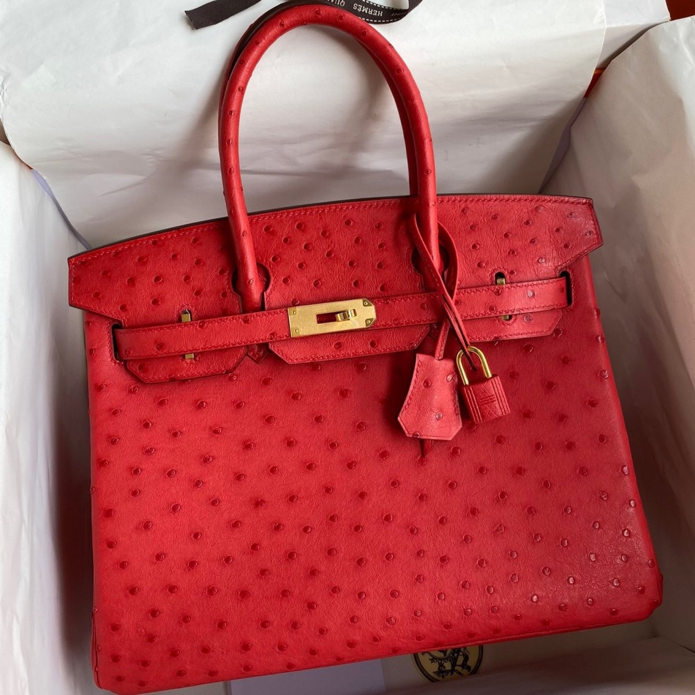 Hermes Birkin 30 Retourne Handmade Bag In Red Ostrich Leather LDBS241659