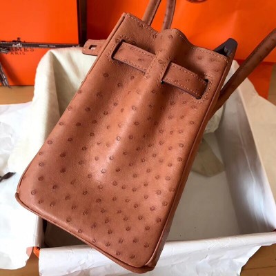 Hermes Brown Birkin 30cm Ostrich Handmade Bag LDBS241886