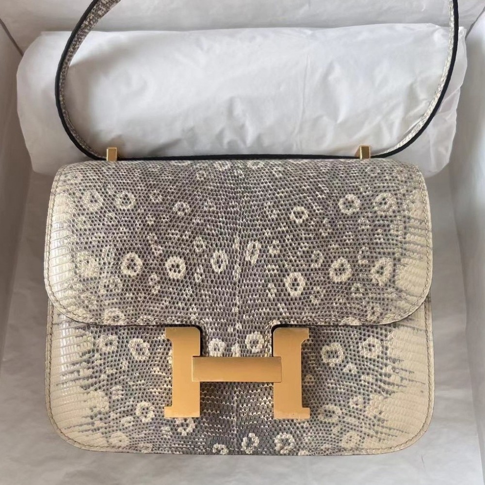 Hermes Constance 18 Handmade Bag In Natural Lizard Skin LDBS241968