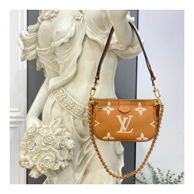 Louis Vuitton Bicolor Multi Pochette Accessoires Brown/Cream M45777 LDBS17297